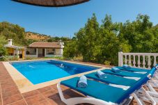 Casita Agua with private pool and fruit trees. On a peaceful location next to the Rio Grande in Alozaina, Andalusië