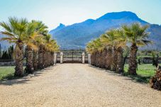 Villa in Jalón - Casita Travel | Finca Flor del Almendro