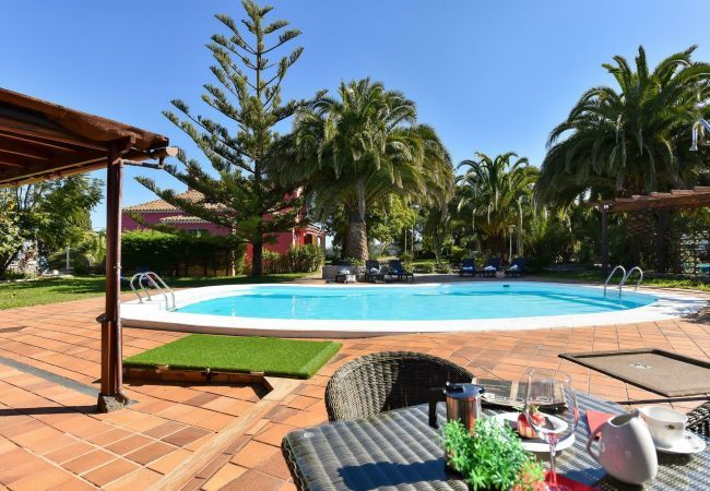 Villa in Vega de San Mateo - Finca las Boas Villa in Vega de San Mateo - Finca las Boas