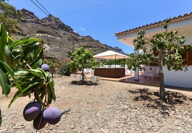 Villa in Mogán - Villa Manzana Villa in Mogán - Villa Manzana