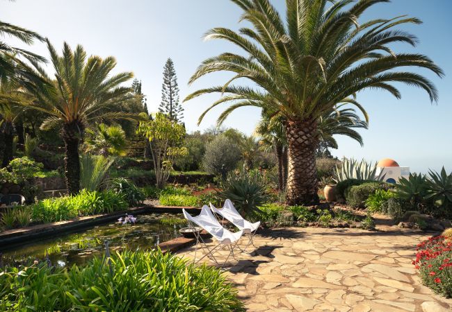 Villa in Puntagorda - Villa Botanico Villa in Puntagorda - Villa Botanico