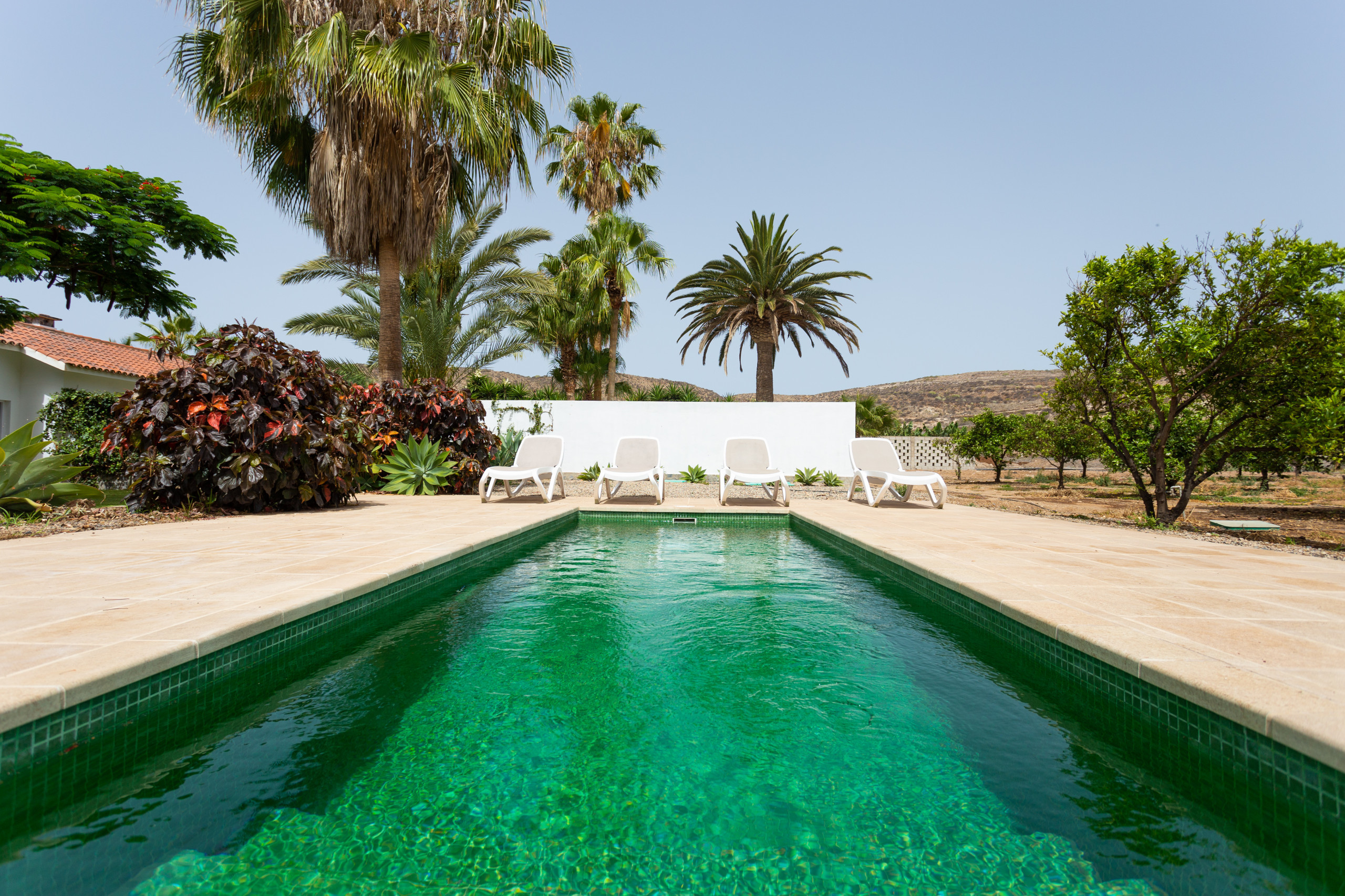 Guaza - House