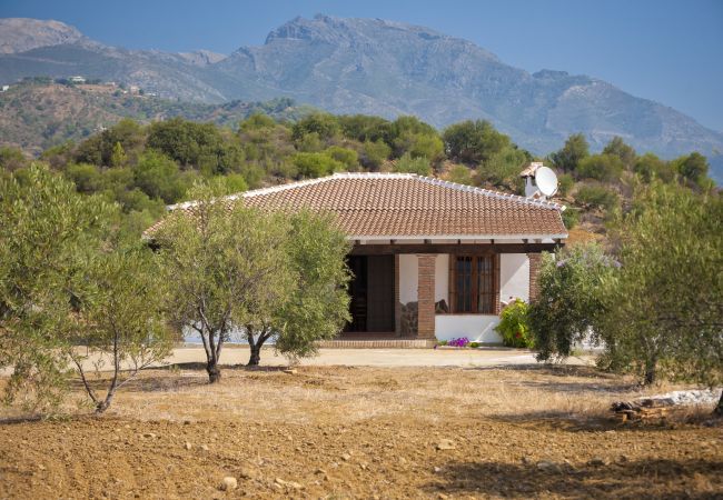 Villa in Alozaina - Casa Feliz Villa in Alozaina - Casa Feliz