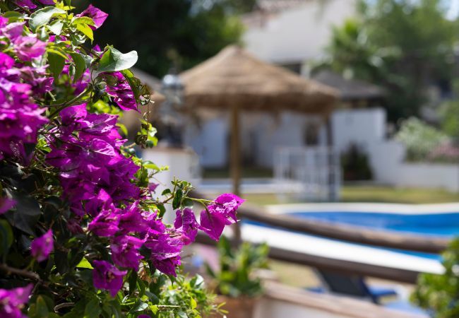 Villa in Alhaurín el Grande - Casita Cuarta Villa in Alhaurín el Grande - Casita Cuarta