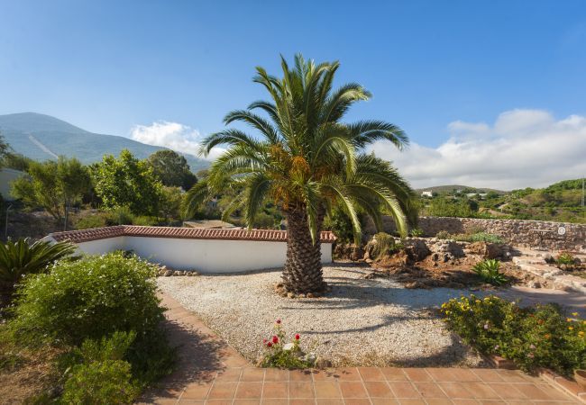 Villa in Alhaurín el Grande - Villa Naranja Villa in Alhaurín el Grande - Villa Naranja