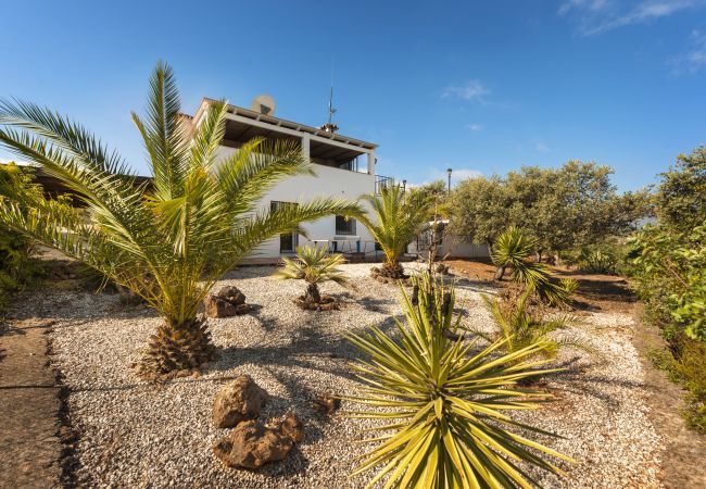 Villa in Alhaurín el Grande - Villa Naranja Villa in Alhaurín el Grande - Villa Naranja