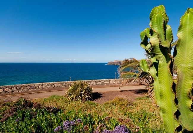 Villa in Agaete - Beach House Marina Deluxe Villa in Agaete - Beach House Marina Deluxe