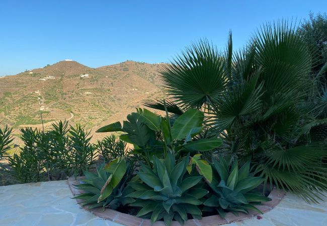 Villa in Torrox - Villa Regazo Andaluz | Villa with Private Pool within 12 minutes of sea in Andalusia Villa in Torrox - Villa Regazo Andaluz | Villa with Private Pool within 12 minutes of sea in Andalusia