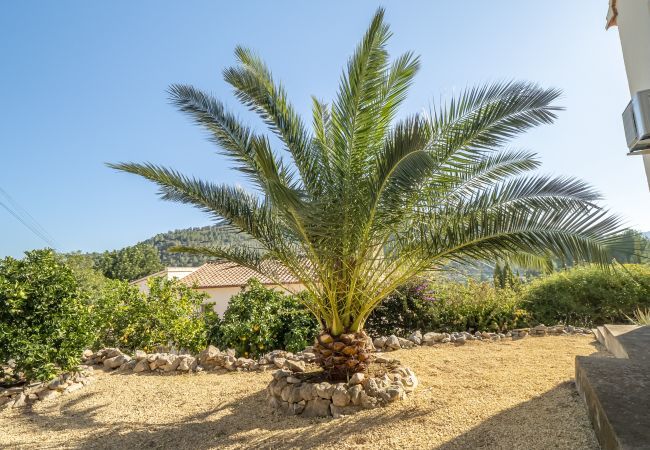 Villa in Alcalali - Casita Travel | Villa Jacaranda  Villa in Alcalali - Casita Travel | Villa Jacaranda