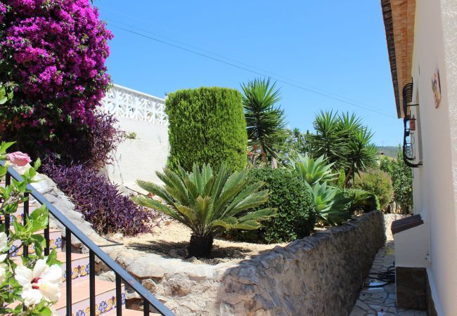 Villa in Alcalali - Casita Travel | Villa Jacaranda  Villa in Alcalali - Casita Travel | Villa Jacaranda