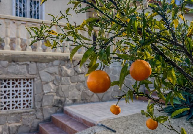 Villa in Alfaz del Pí - Casita Travel | Villa Grande Alfaz del Pi /  16 persons villa! Villa in Alfaz del Pí - Casita Travel | Villa Grande Alfaz del Pi /  16 persons villa!