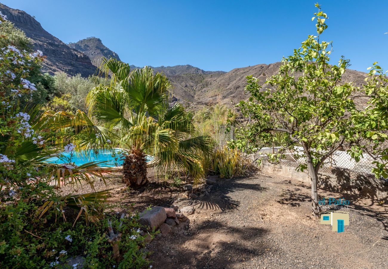 Villa in Agaete - Villa El Patio