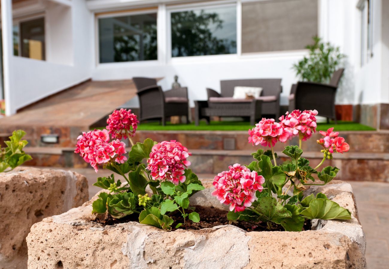 Villa in Ingenio - Villa Fruta
