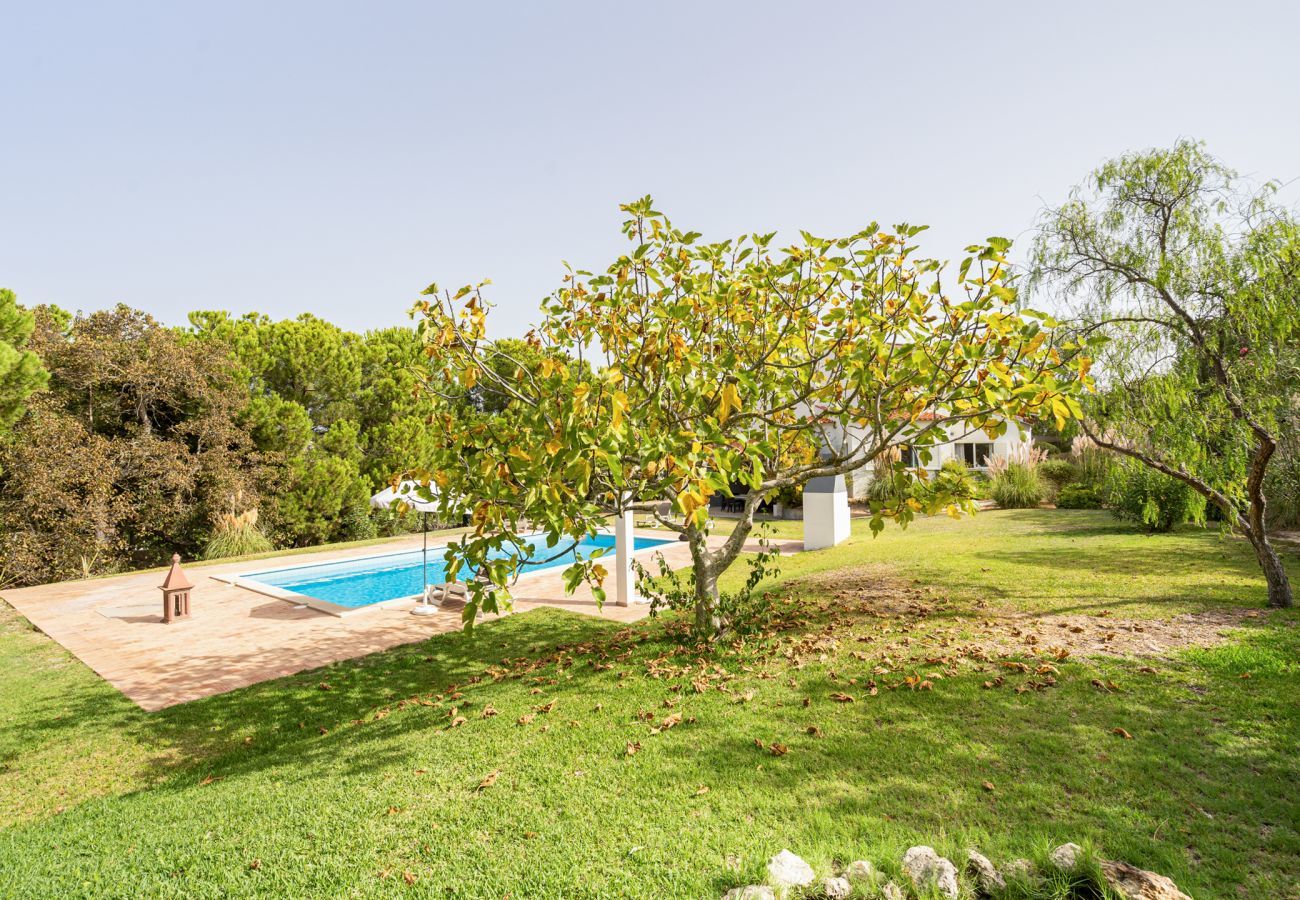 Villa in Benagil - Villa Iria