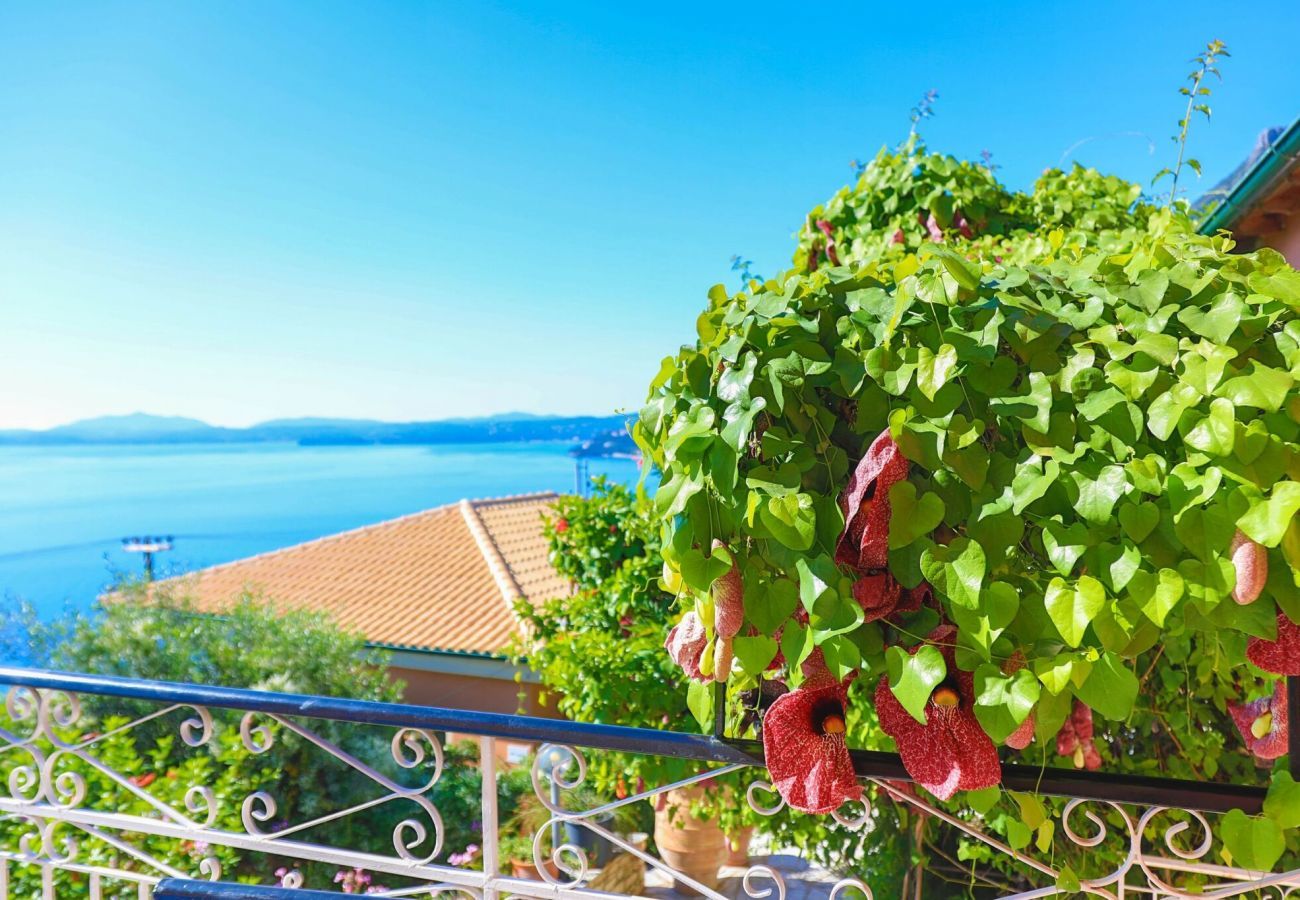 Villa Aspasia | A detached villa with private pool and seaview on Corfu, Greece