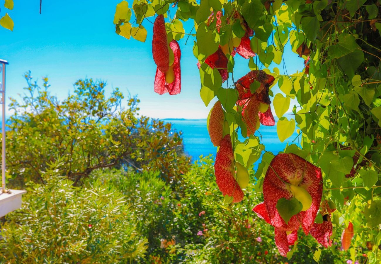 Villa Aspasia | A detached villa with private pool and seaview on Corfu, Greece