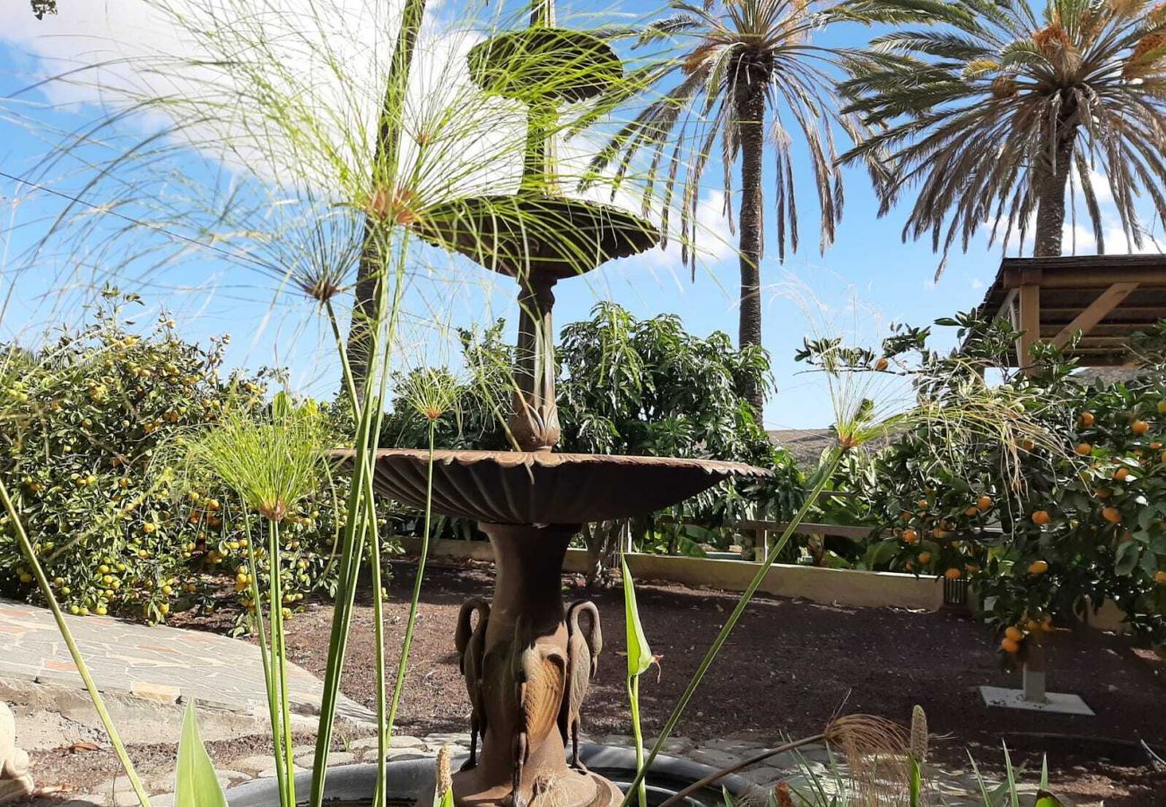 Finca Telde for a relaxing holiday with large groups. With private pool and nice hiking trails in Telde, Gran Canaria