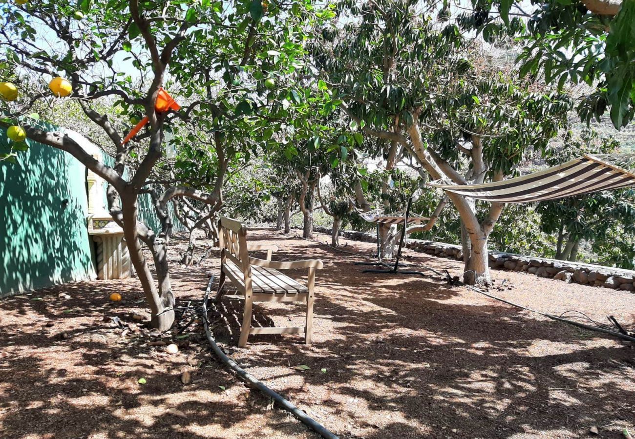 Finca Telde for a relaxing holiday with large groups. With private pool and nice hiking trails in Telde, Gran Canaria