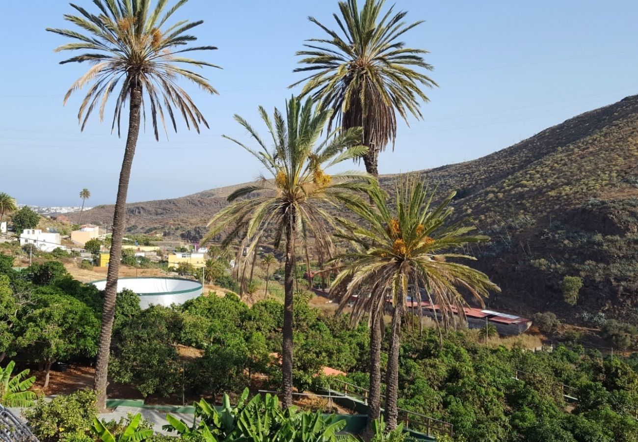 Finca Telde for a relaxing holiday with large groups. With private pool and nice hiking trails in Telde, Gran Canaria