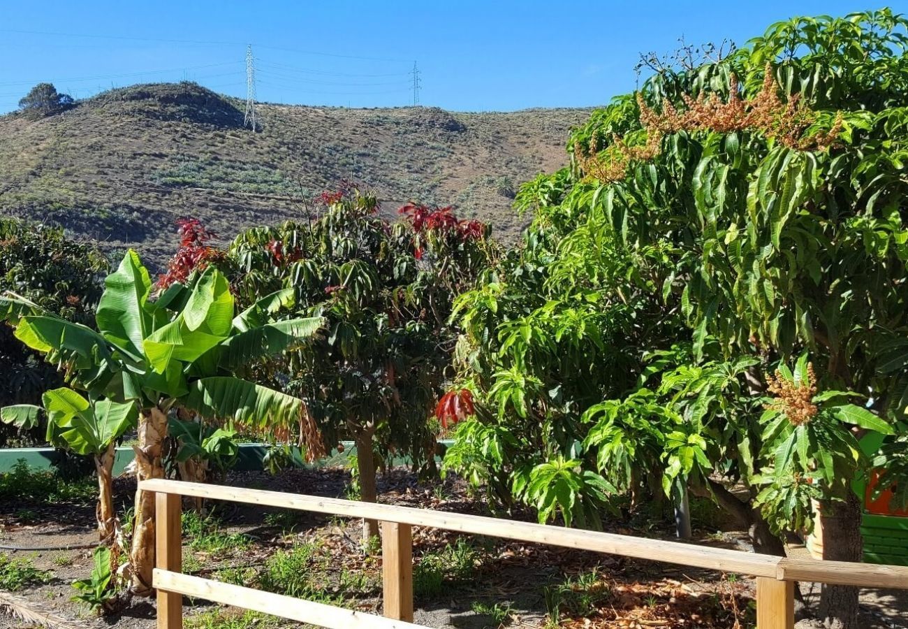 Finca Telde for a relaxing holiday with large groups. With private pool and nice hiking trails in Telde, Gran Canaria