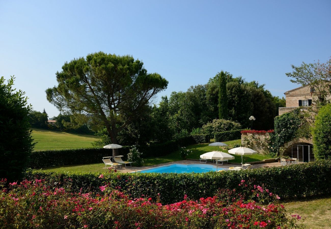 Villa Storica is a luxurious dreamvilla with private pool and vineyard in Le Marche, Italy