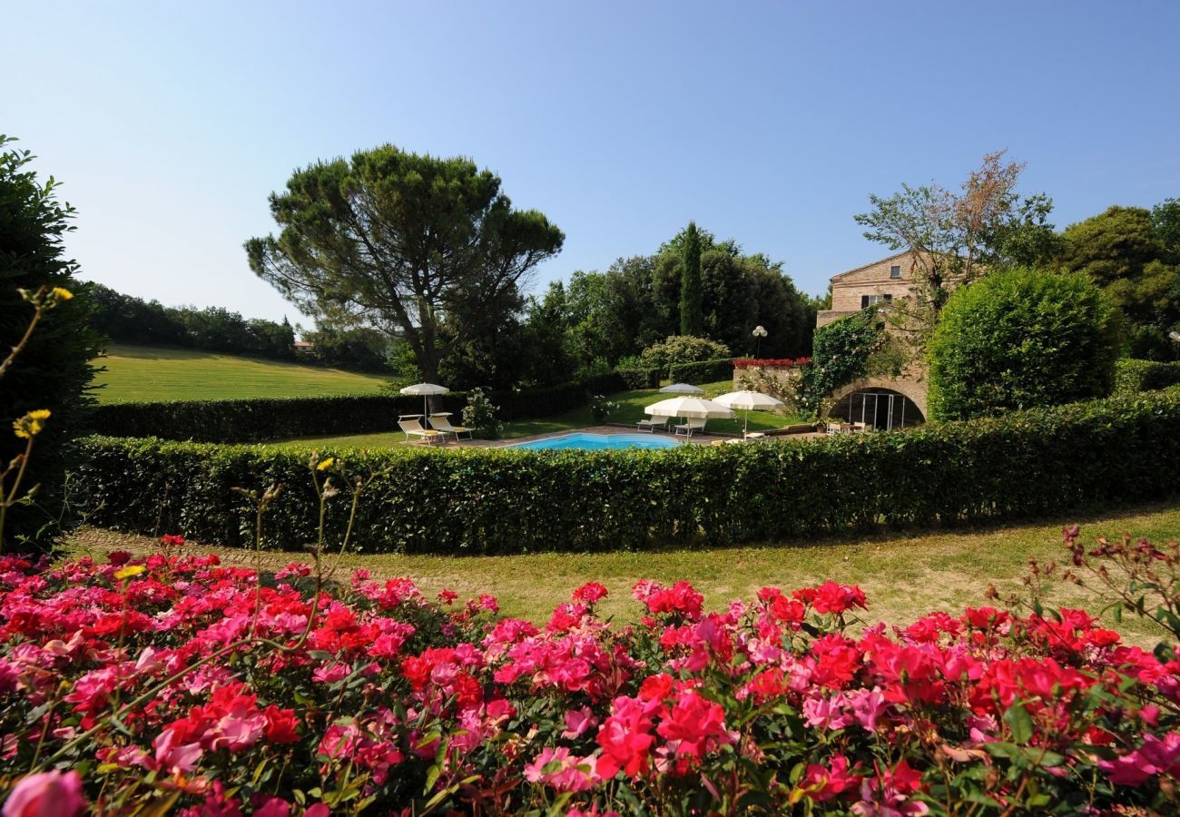 Villa Storica is a luxurious dreamvilla with private pool and vineyard in Le Marche, Italy