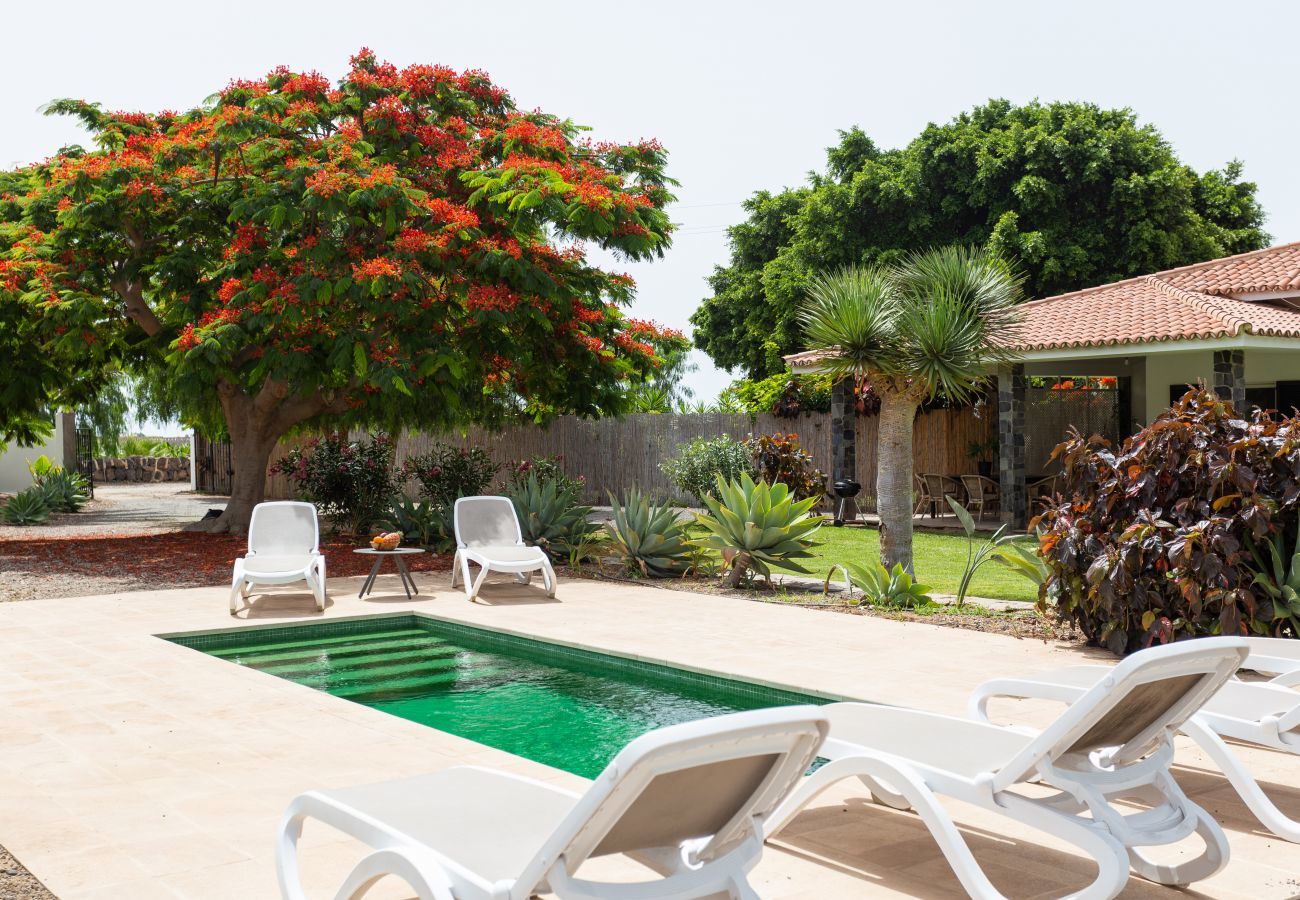 House in Guaza - Villa Desino