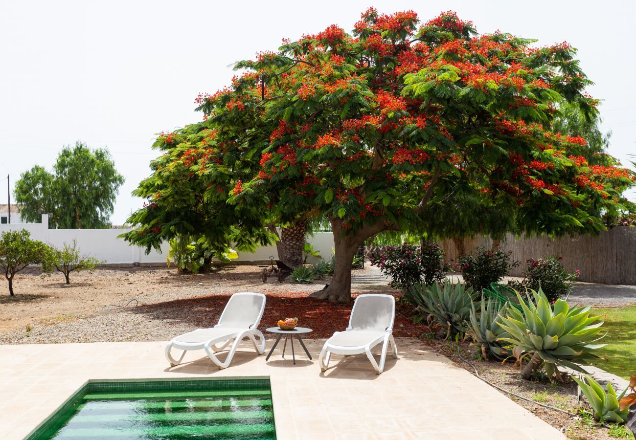 House in Guaza - Villa Desino