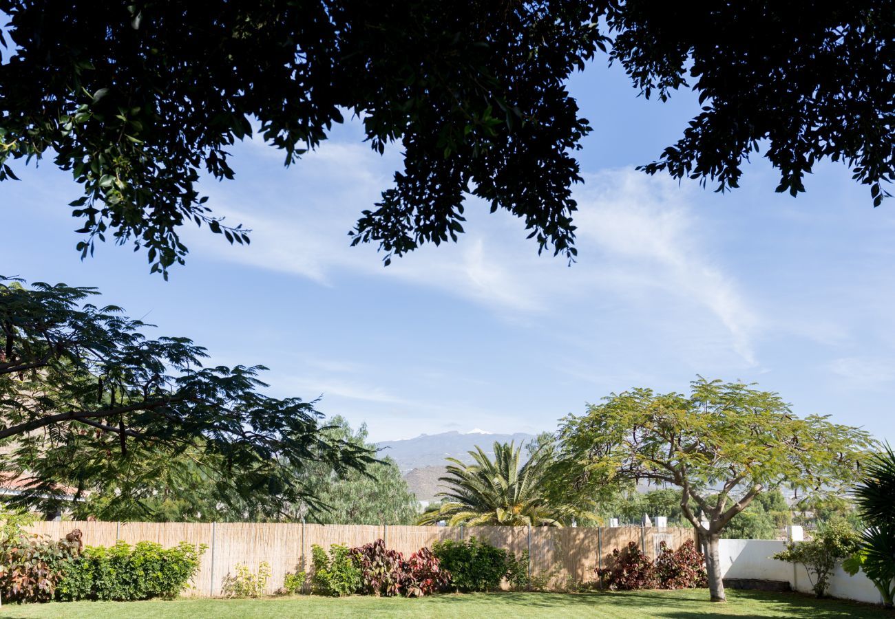 Villa Desiño Pequeno with green garden and lots of space and privacy. In Guaza, Tenerife.