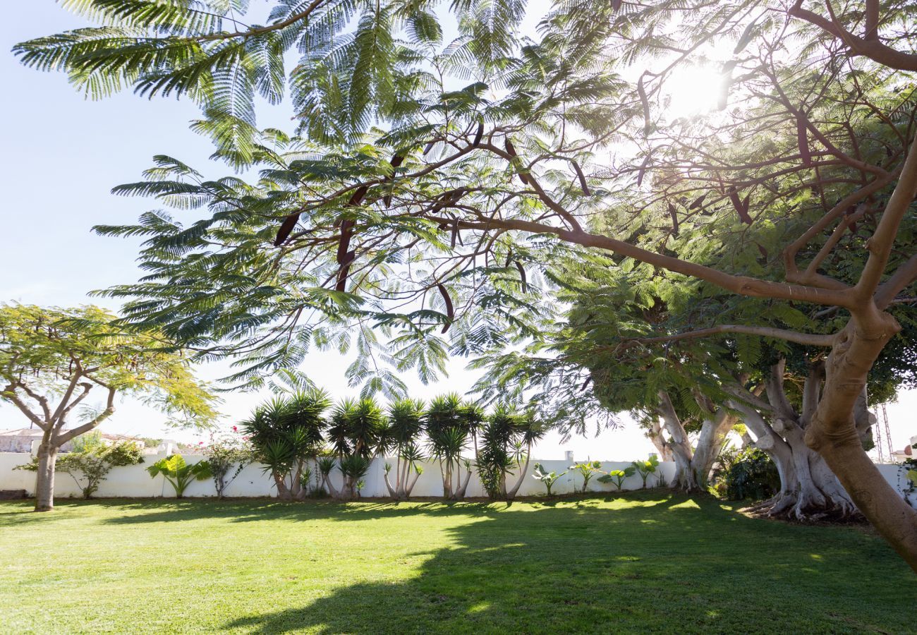 Villa Desiño Pequeno with green garden and lots of space and privacy. In Guaza, Tenerife.