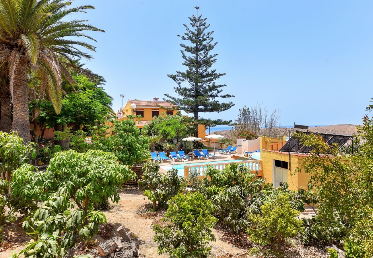 Villa in Maspalomas - Finca Elodia