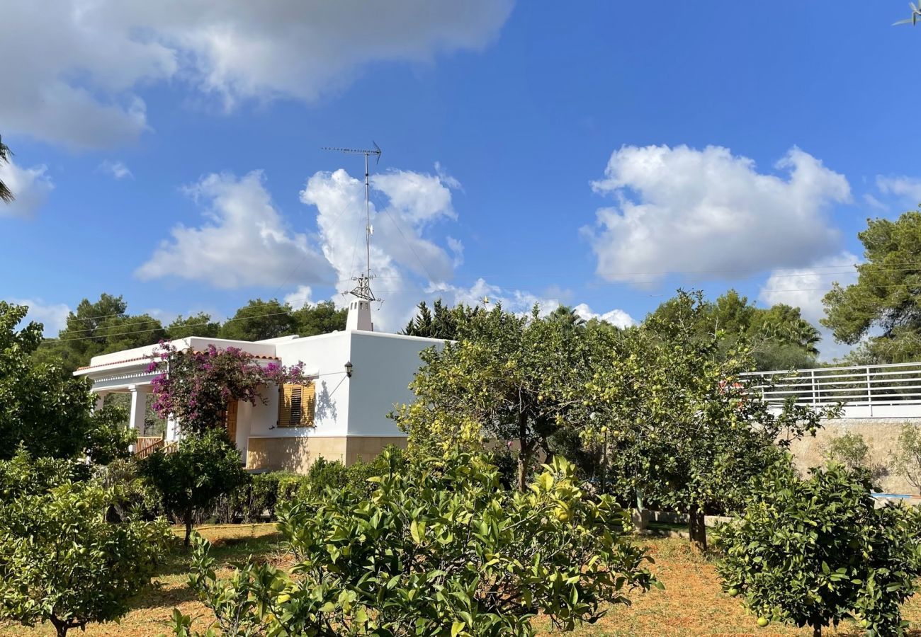  Villa Santa Eulalia | A detached villa with private pool on Ibiza, Spain