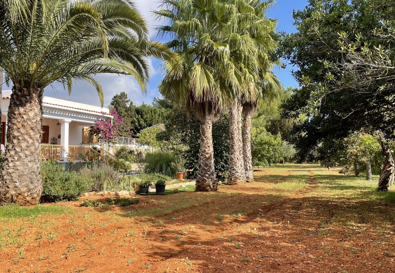  Villa Santa Eulalia | A detached villa with private pool on Ibiza, Spain