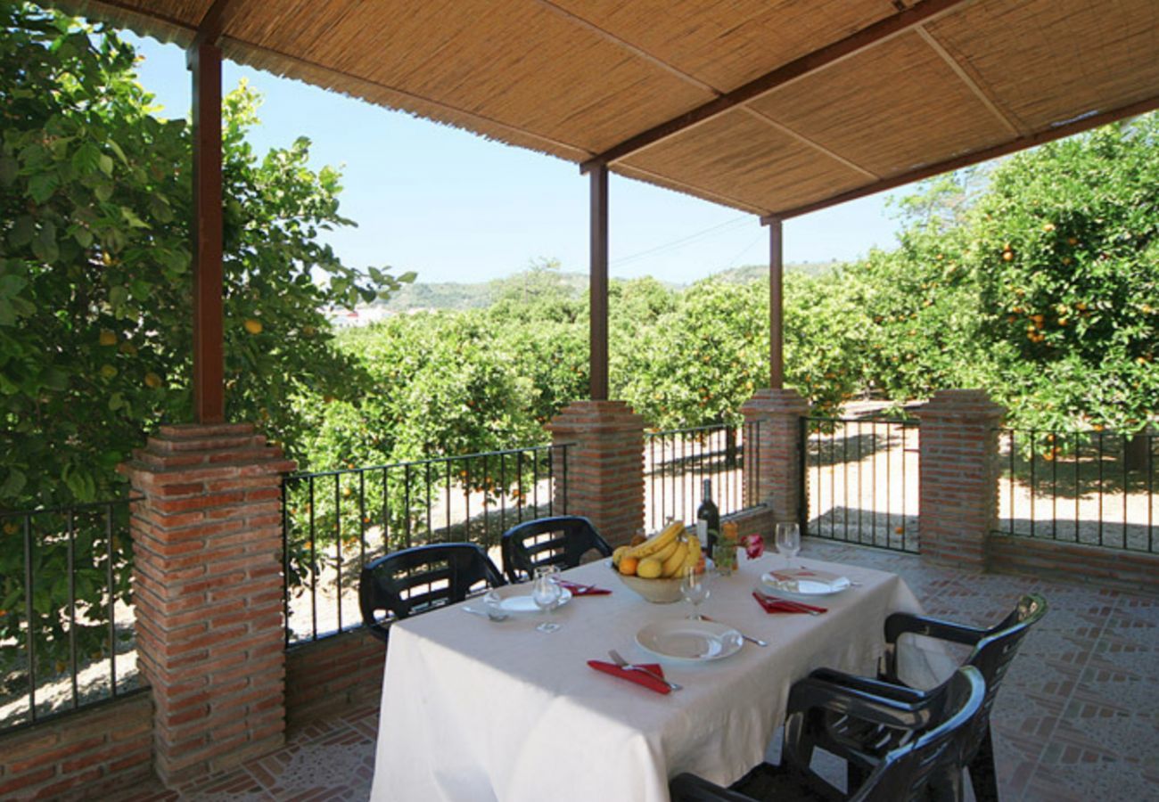 Private fenced pool. Childfriendly. In walking distance from the nice town Alozaina. Nice holiday home. 