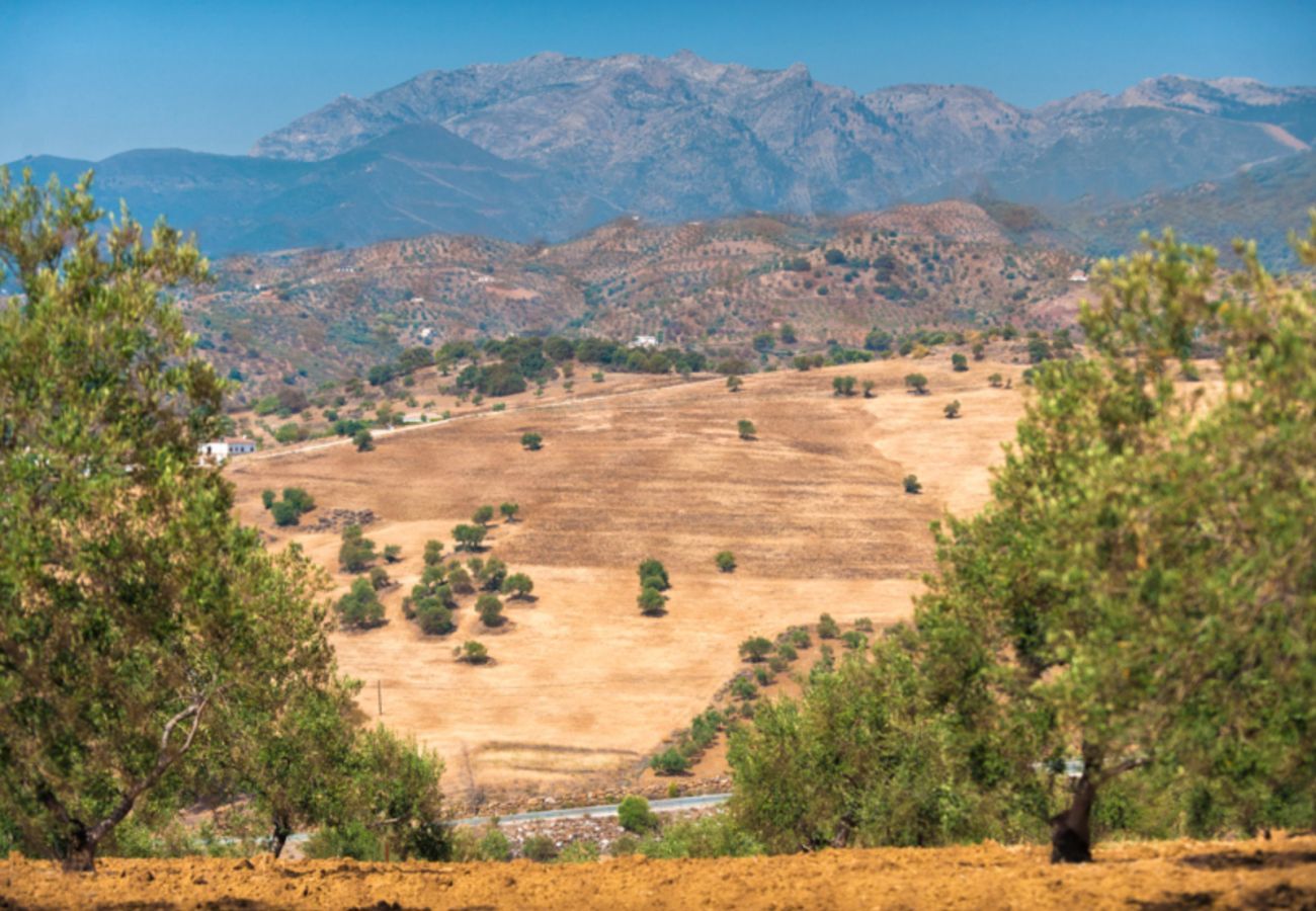 Beautiful villa with fenced private pool and panoramic views. Surrounded by olive trees. Childfriendly. 