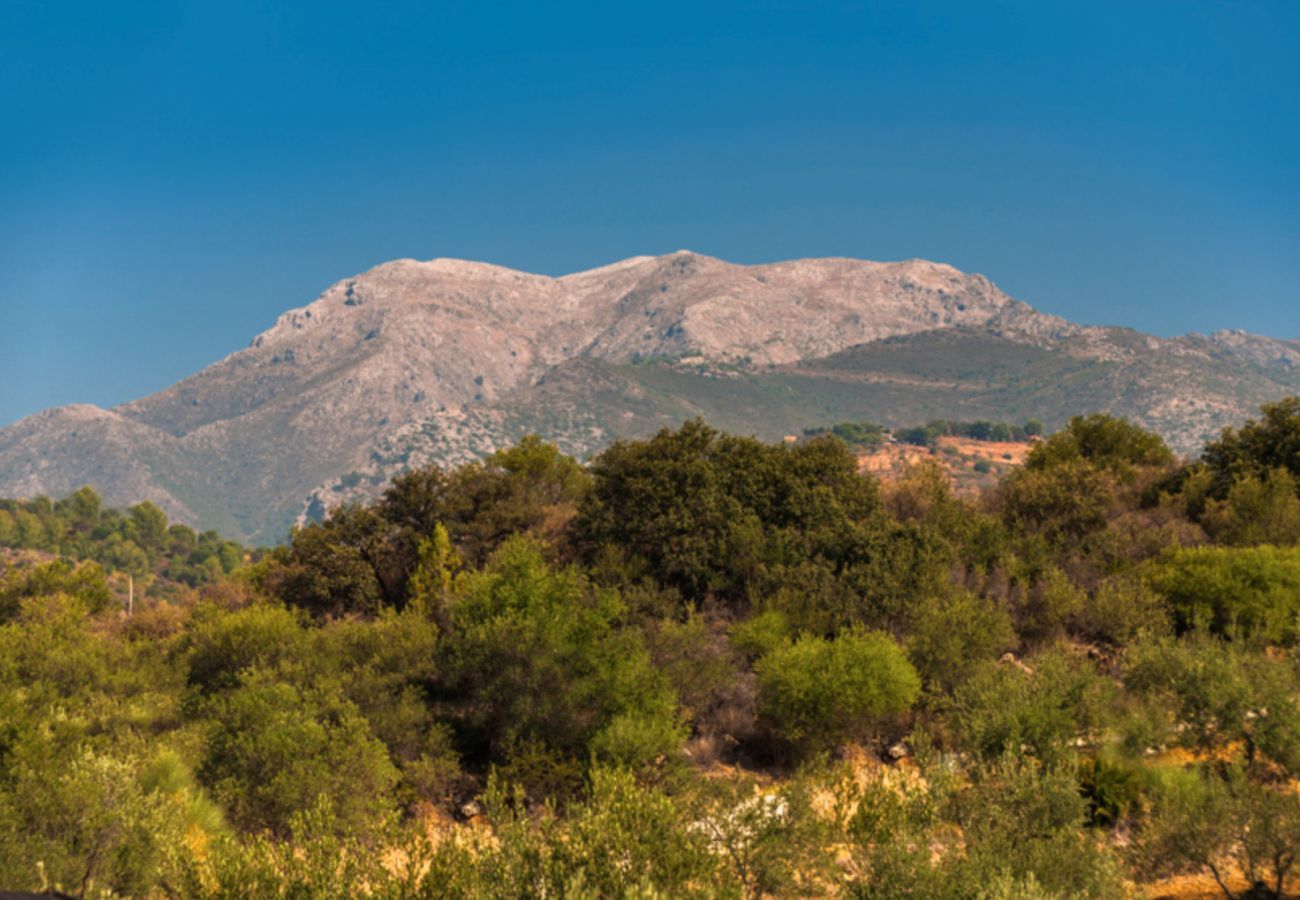 Beautiful villa with fenced private pool and panoramic views. Surrounded by olive trees. Childfriendly. 