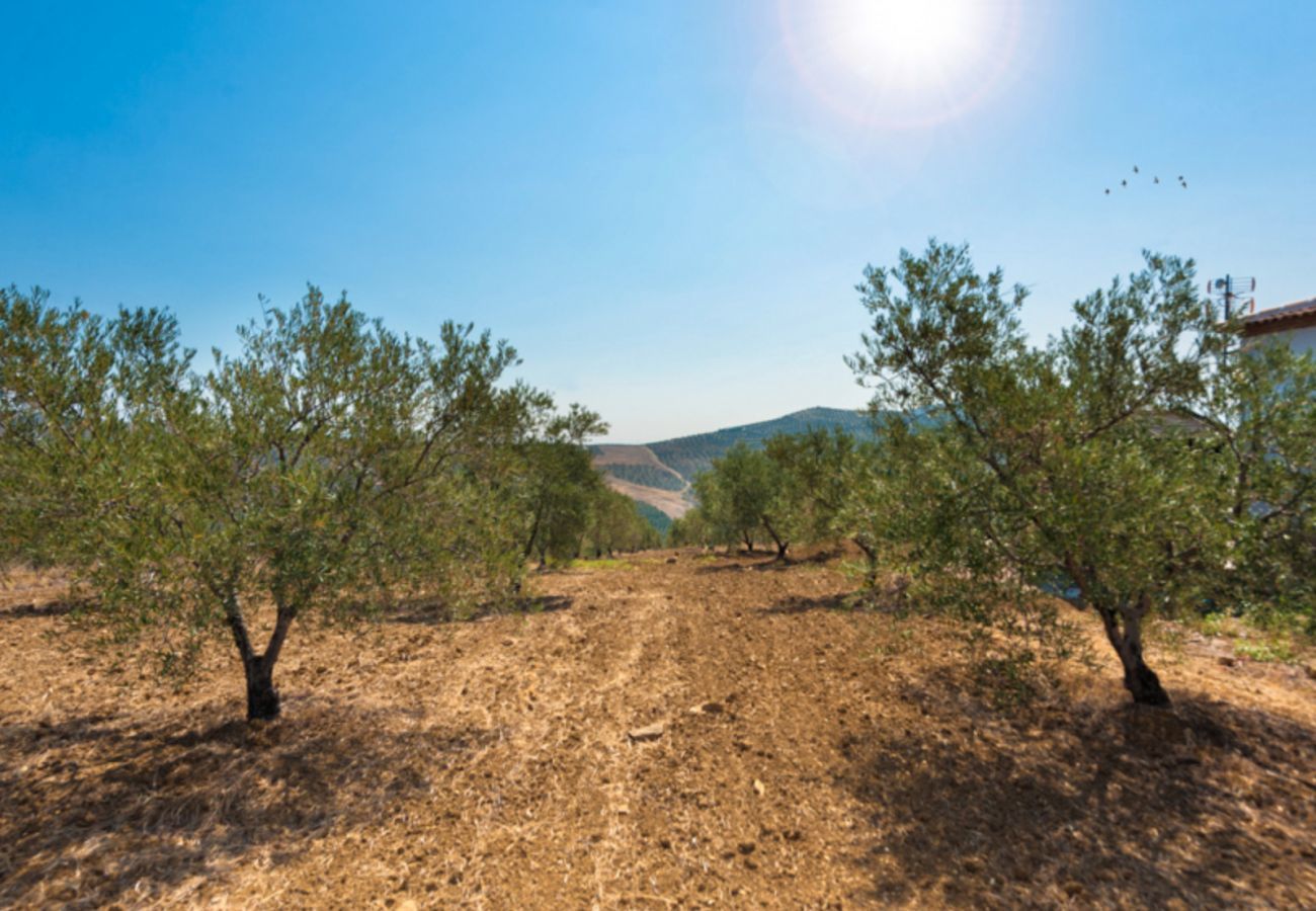 Beautiful villa with fenced private pool and panoramic views. Surrounded by olive trees. Childfriendly. 