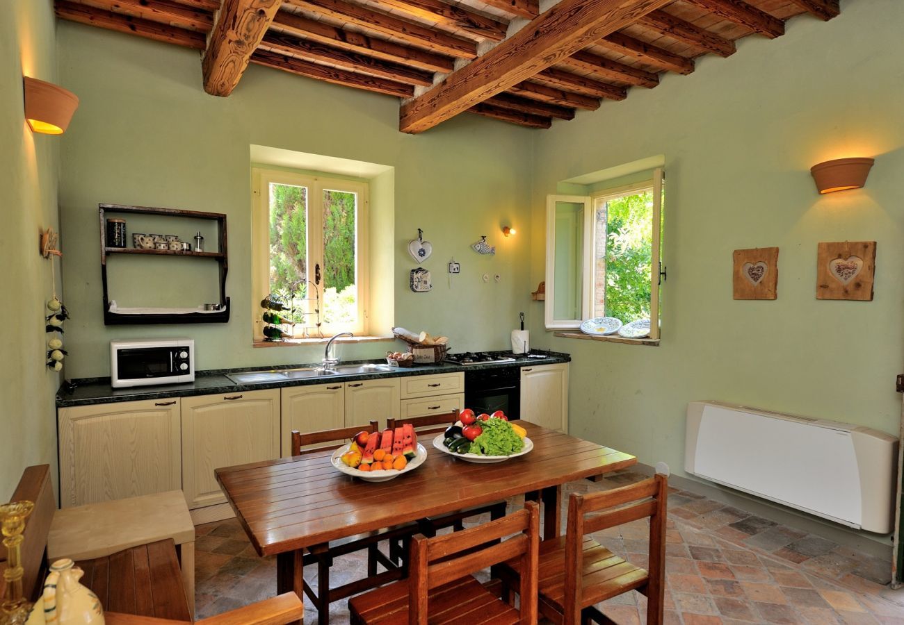 Antico Casolare is an unique villa with private pool and vineyard in Le Marche, Italy. Ideal for large groups!