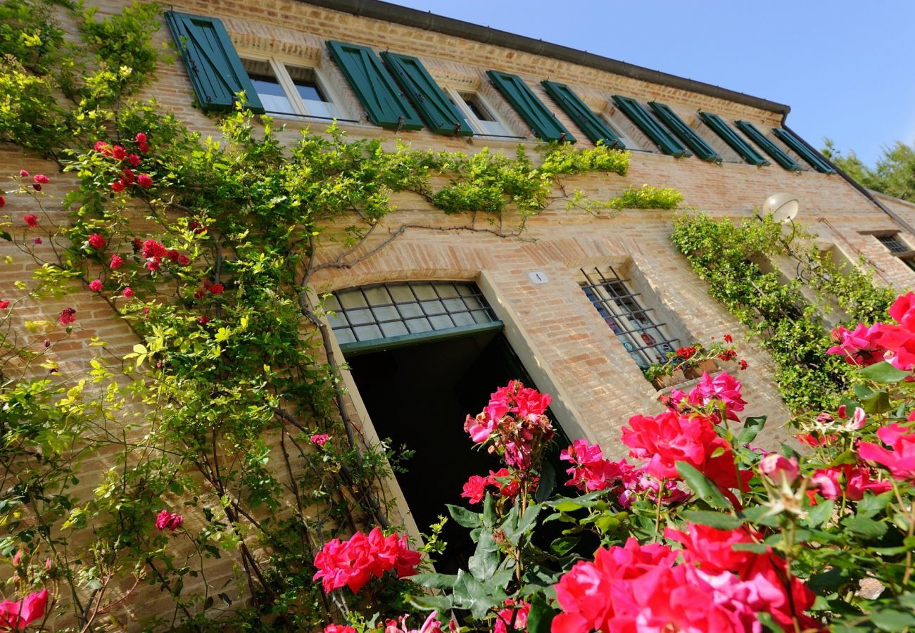 Antico Casolare is an unique villa with private pool and vineyard in Le Marche, Italy. Ideal for large groups!