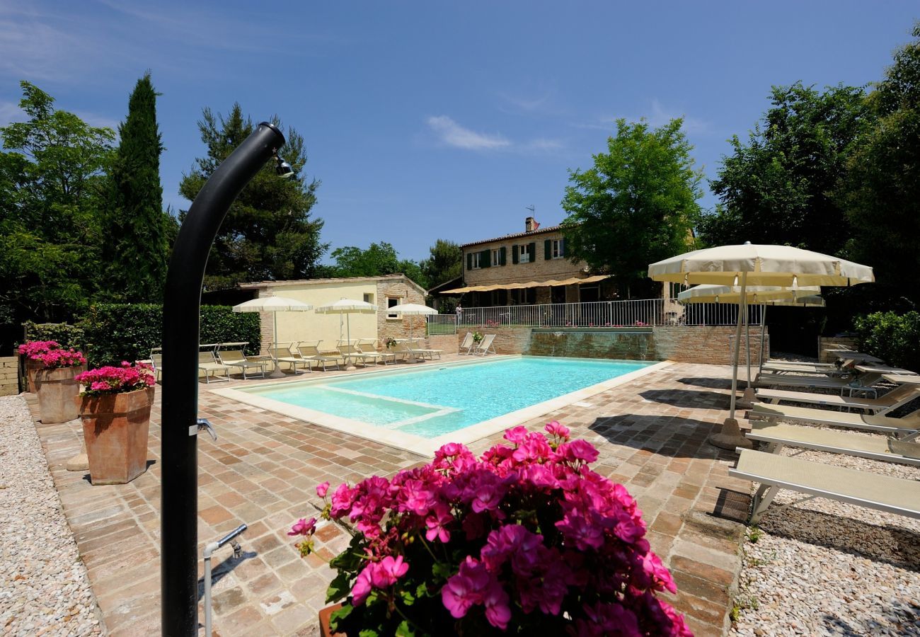 Antico Casolare is an unique villa with private pool and vineyard in Le Marche, Italy. Ideal for large groups!