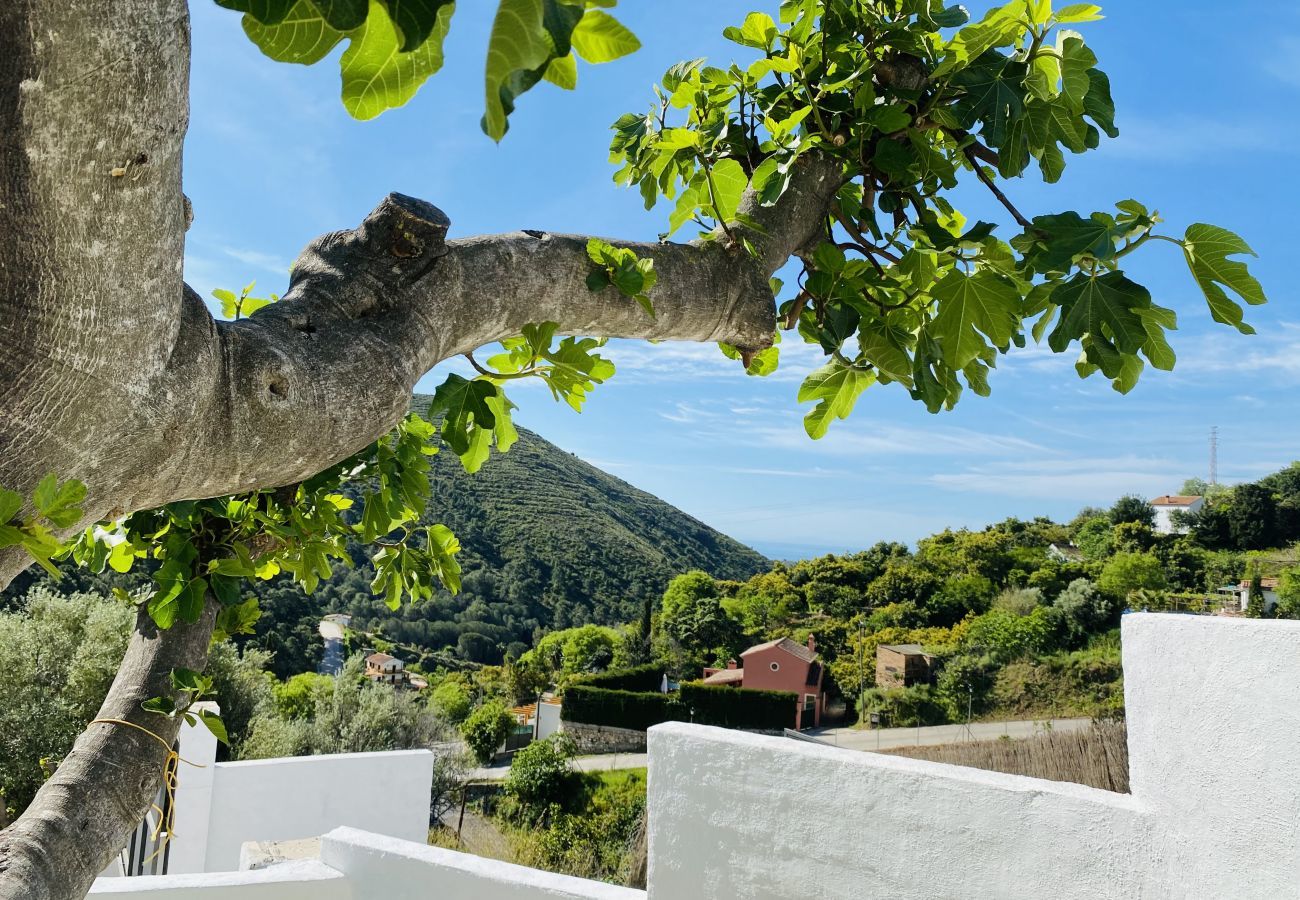 Finca Flores is a detached holiday home with private pool, amazing views and lots of privacy in Ojén, Andalusië