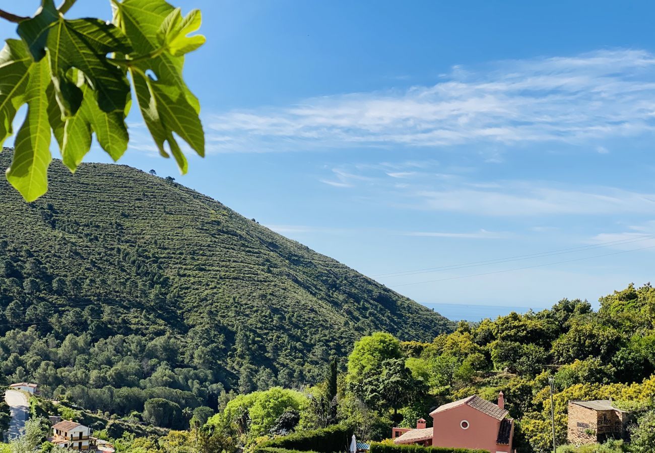 Finca Flores is a detached holiday home with private pool, amazing views and lots of privacy in Ojén, Andalusië