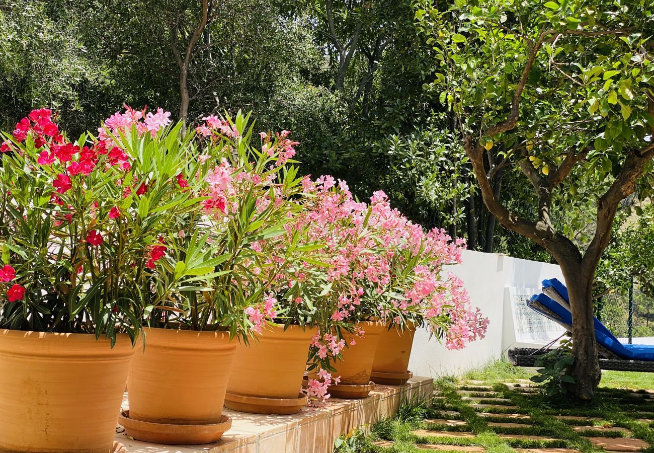 Finca Santa Ana is a holiday home with a private pool and garden with fruittrees. Walking distance from Ojén, Andalusia
