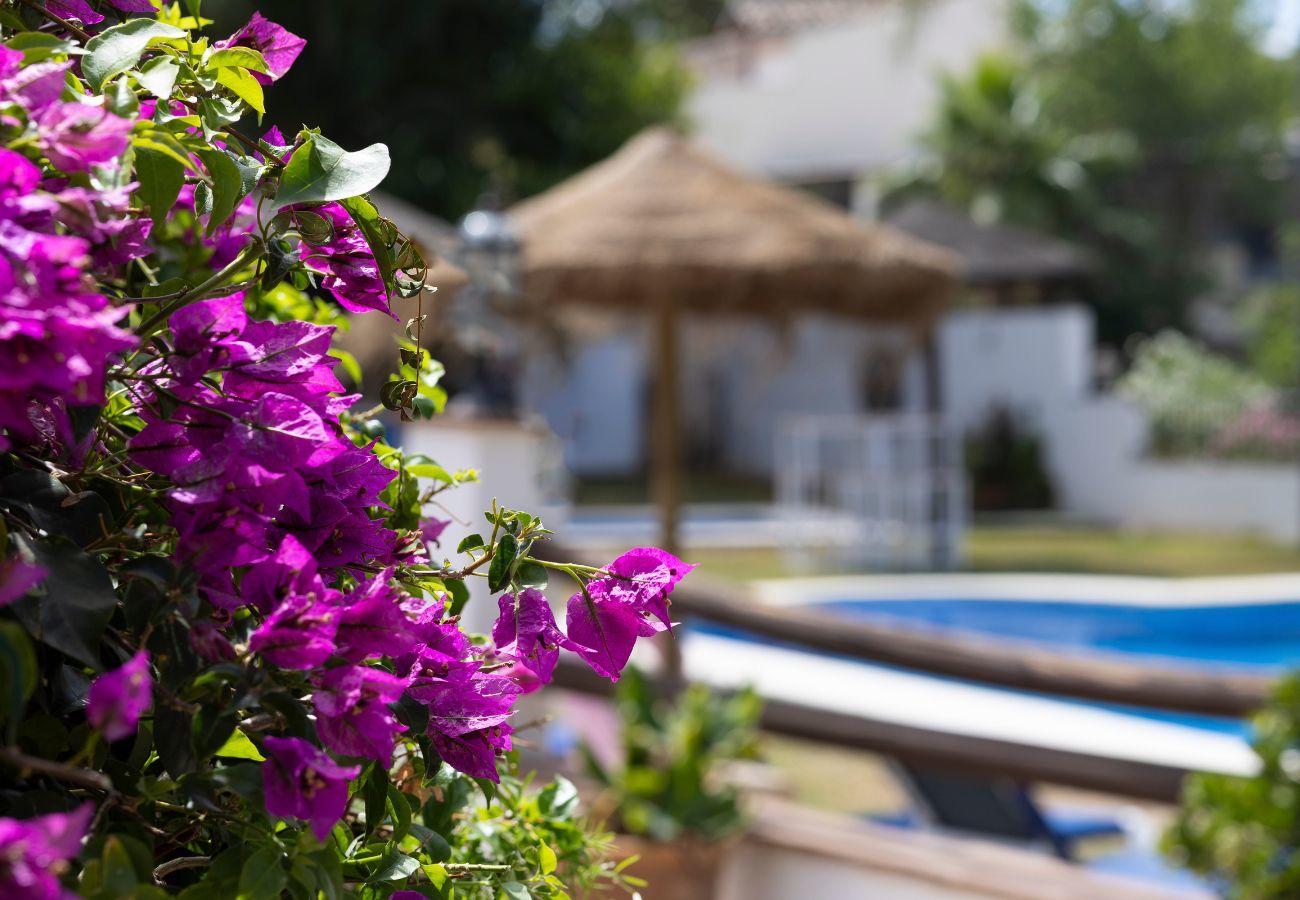 Villa in Alhaurín el Grande - Casita Cuarta Villa in Alhaurín el Grande - Casita Cuarta
