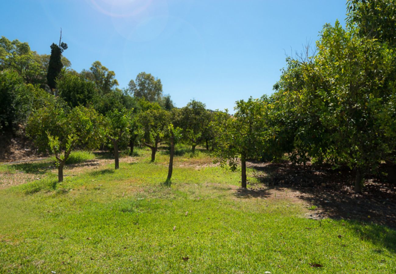 Casita Agua with private pool and fruit trees. On a peaceful location next to the Rio Grande in Alozaina, Andalusië