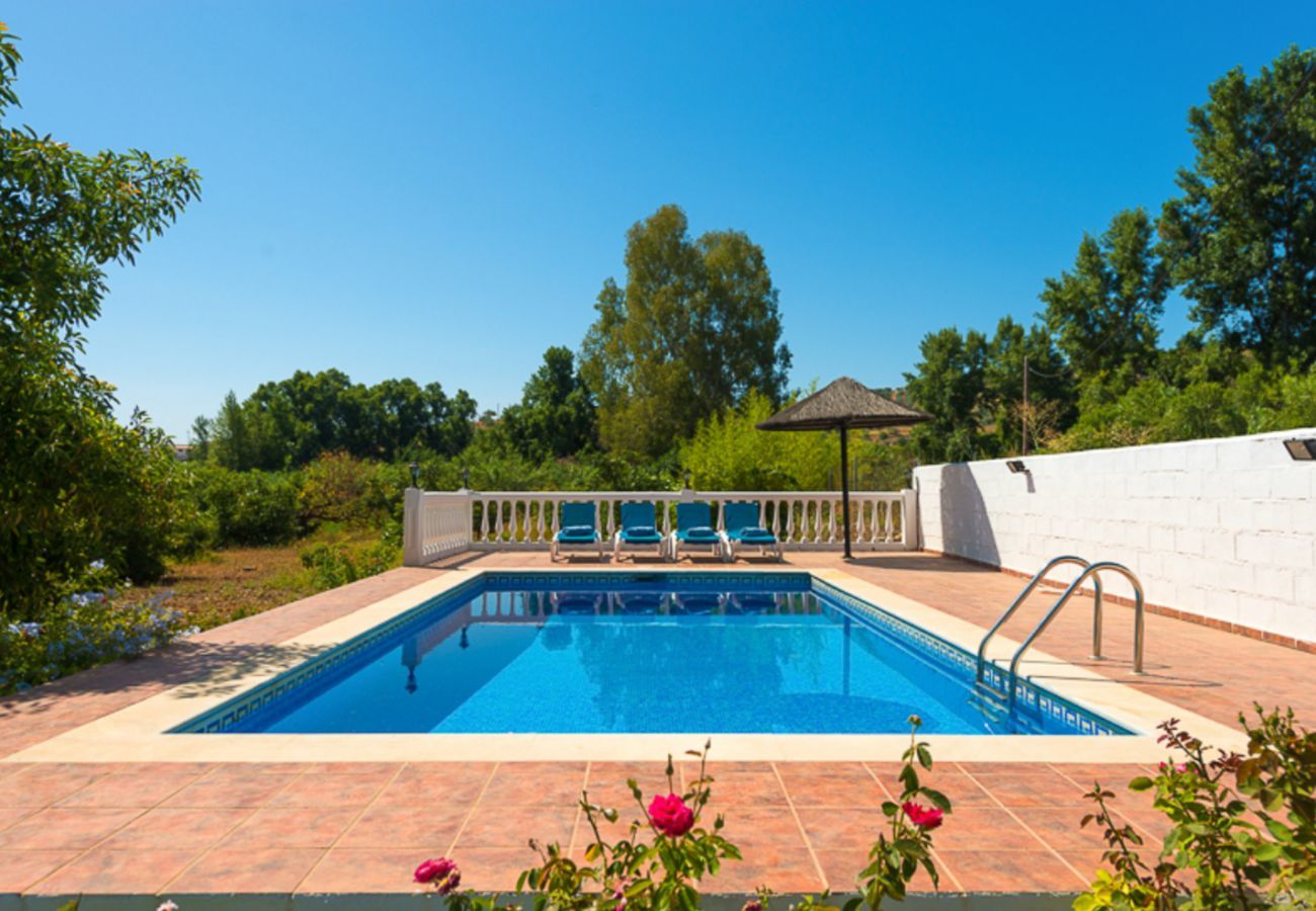 Casita Agua with private pool and fruit trees. On a peaceful location next to the Rio Grande in Alozaina, Andalusië