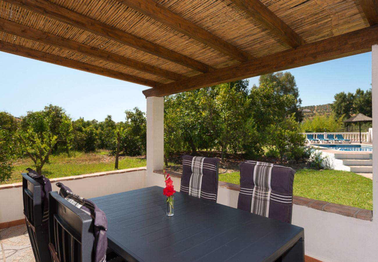 Casita Agua with private pool and fruit trees. On a peaceful location next to the Rio Grande in Alozaina, Andalusië