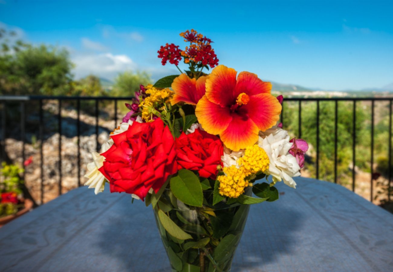 Villa Naranja has a private pool, garden with fruit orchard and lots of privacy. In Alhaurin el Grande, Andalusië