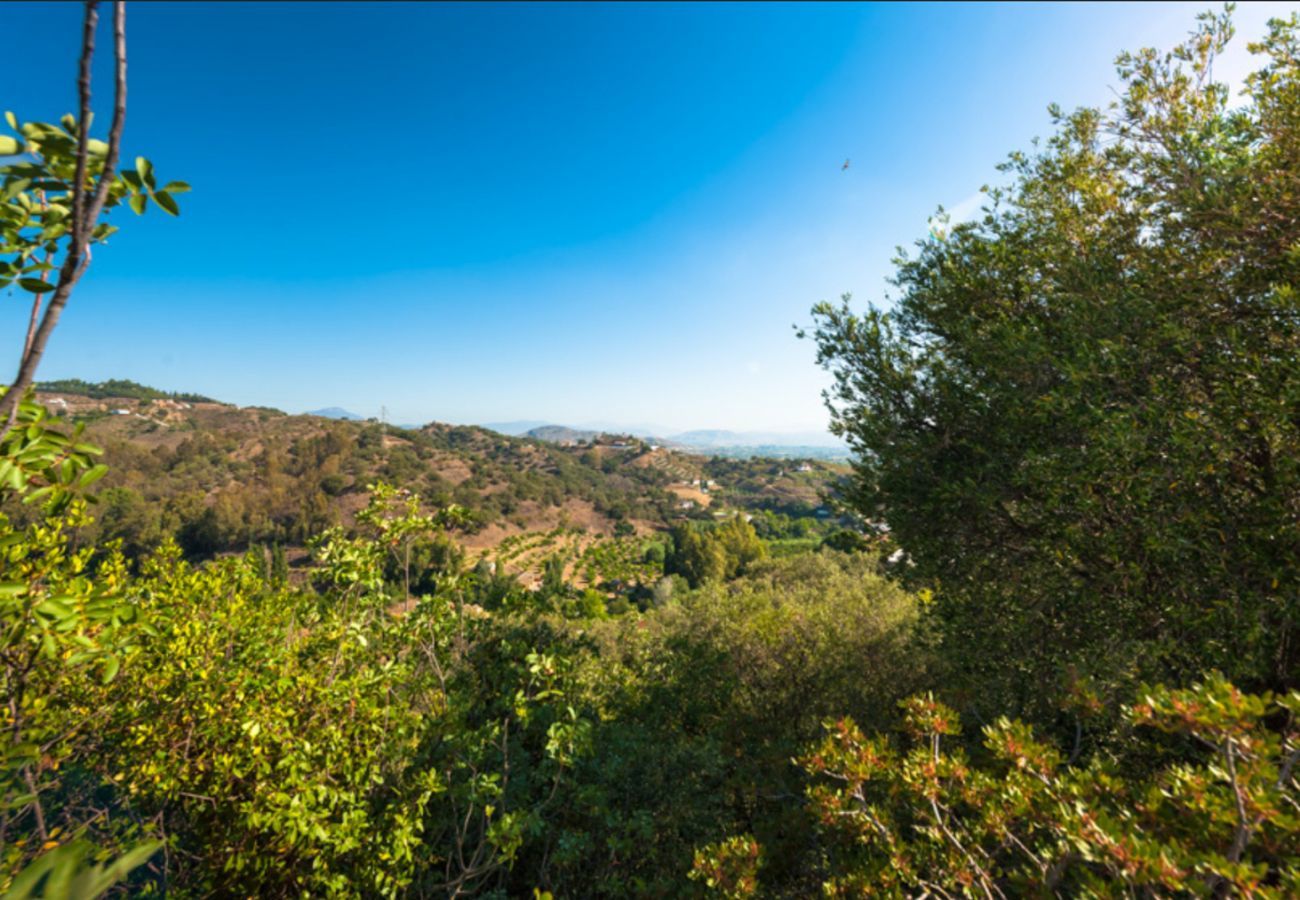 Villa Naranja has a private pool, garden with fruit orchard and lots of privacy. In Alhaurin el Grande, Andalusië