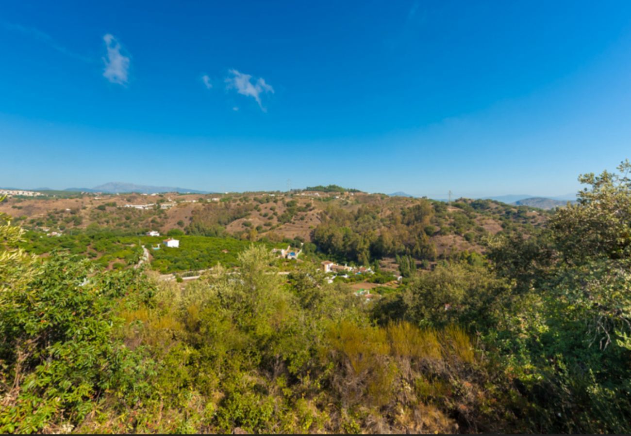 Villa Naranja has a private pool, garden with fruit orchard and lots of privacy. In Alhaurin el Grande, Andalusië